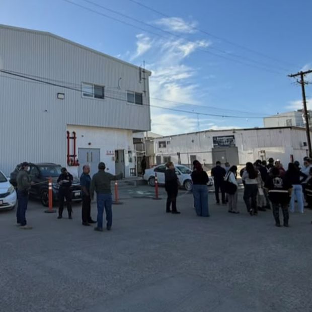 Fuga de Amoniaco Obliga a Evacuar Dos Instalaciones en El Sauzal, Ensenada